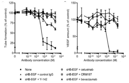 Erbitux (Cetuximab) 및 Avastin (Bevacizumab)의 혈관생성 억제 효능에 대한 HB-EGF의 중화 효능