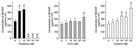 위암 세포에서 5-FU, cisplatin, paclitaxel 처리에 의한 HB-EGF의 발현 증가