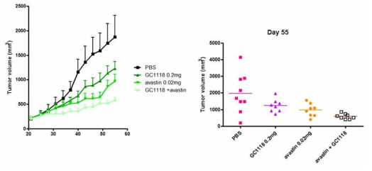 Tumor growth profile and tumor final volumes of each group