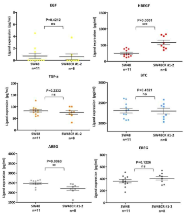 The expression of EGFR ligands in the SW48 and SW48CR #1-2 xenograft