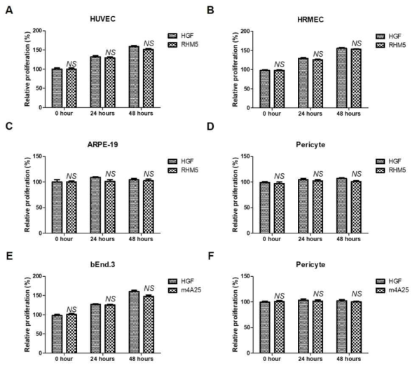 Differential effects of HGF, RHM5, and m4A25 on the proliferation of retinal constituent cells. (A) HUVECs. (B) HRMECs. (C) ARPE-19. (D) Human retinal pericytes. (E) bEnd.3 cells. (F) Mouse brain pericytes