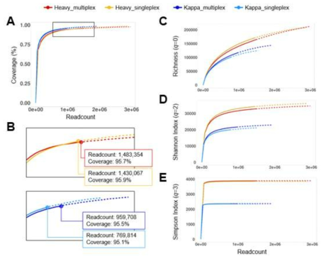 Estimates of the sample coverage and clonal diversity of functional reads from singleplex-prepared and multi-plex-prepared phage libraries. (A) Sample coverage estimations of each libraries. Results are shown by dash and dotted line of the curve, which means the coverage val-ues from rarefaction curve and extrapolation curve respectively. (B) Enlarged figure of rectangular region of (a) and sample coverage and whole readcount of the acquired data. Dots represented the data that were achieved from libraries (singleplex-prepared and multiplex-prepared). (c - e) R/E curve (Rarefaction and extrapolation curve) of each libraries with diversity order number (c) q = 0, (d) q = 1, and (e) q = 2. R/E curves were obtained considering clonal frequencies of each functional clones