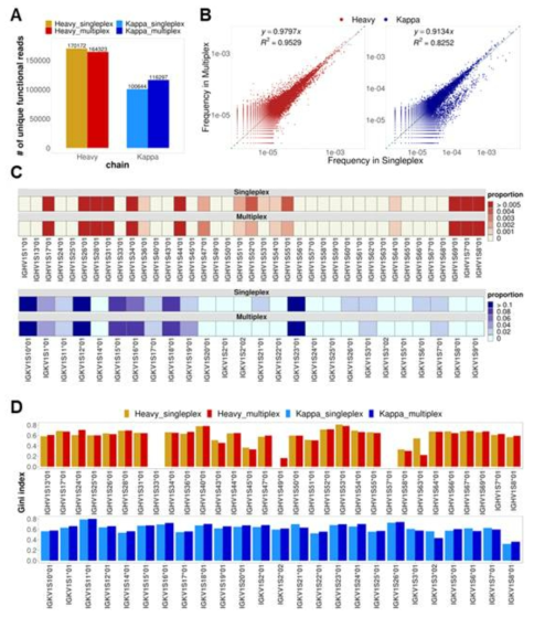 (A) The number of unique functional reads from each library. (B) The clonal distribution of co-existing functional reads in both libraries. (C) V gene usage of functional reads from each library. (D) Inequality (Gini index) of functional reads from each library with respect to V genes