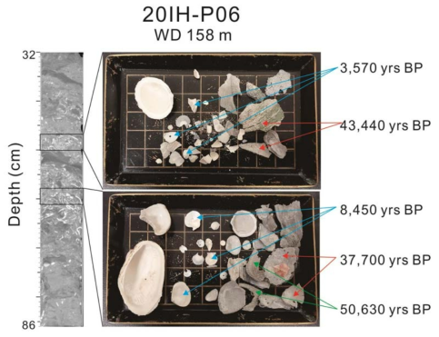 20IH-P06 피스톤코어의 CT 영상과 탄소연대 측정 결과