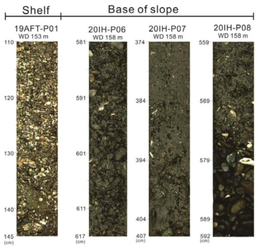 대륙붕과 사면 기저부의 역질퇴적물 분포 특성