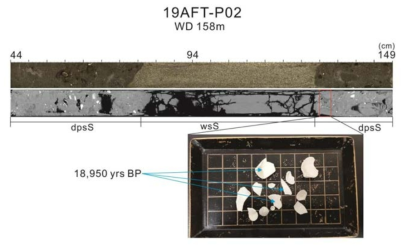 19AFT-P02 피스톤코어의 퇴적구조와 탄소연대 결과