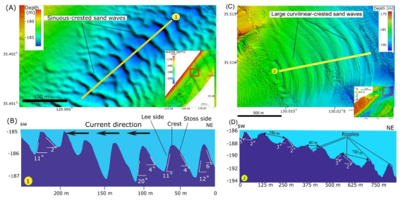 (A) Bathymetric data showing NW-SE-trending sinuous-crested sand waves. (B) Bathymetric profile showing the asymmetric sand waves that attain 2 m in height with lee side slopes of 11-20°. Lee side(steeper) indicates the currents are flowing to the SW. (C) Multibeam bathymetric data showing NNW-trending curvilinear sand waves. (D) Bathymetric profile across sand waves, which range in width from  with a maximum relief of about 3 m. Also shown are the secondary ripples superimposed on the stoss and lee side of the larger sand waves