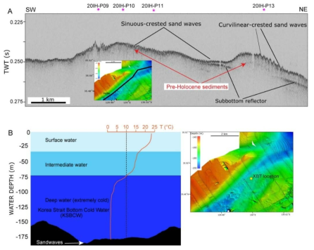 (A). Sub-bottom chirp profile showing the seabed morphology, a distinct sub-bottom reflector, and sand waves on the seafloor characterized by undulating high amplitude reflectors. The subbottom reflector pinches out on the seafloor towards the SW and is interpreted as an old erosional surface. (B) XBT profile from the sand wave field showing a cold-water mass below 75 m water depth. The XBT profile was launched on September 17, 2020. The vertical dashed line defines water mass with less than 10°C, representing the KSBCW