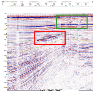 Previous seismic section of the study area. The red and green rectangles indicate the survey targets with the shallow gas and complex strata, respectively