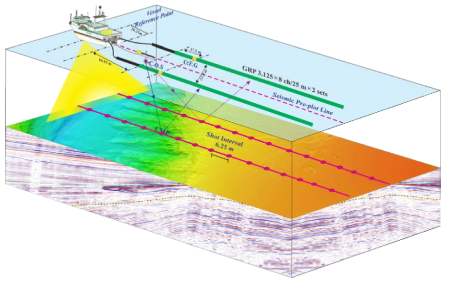 The layout of high-resolution 3D seismic survey in 2021