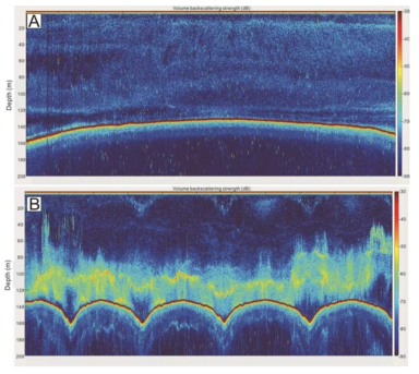 2020년에 수행된 EK60 음향측심기 탐사