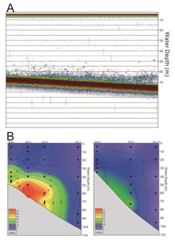 해저면으로부터 확산형 가스 방출 특성. (A)EK60 음향측심기 자료, (B) 해수 중 용존메탄 함량 분포도