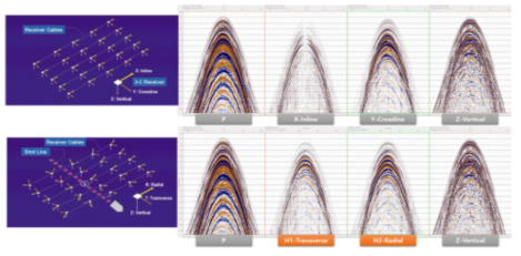 The process of separating the Radial (PS) component through applying trace rotation in the source direction to the three-component data aligned in the inline and Xline directions