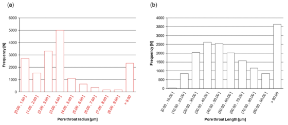 공극목의 크기 분포: (a) 직경, (b) 길이