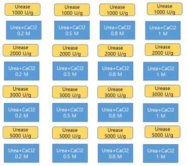 Various experimental combinations of the amount and the concentration of the urease and the urea/calcium solutions