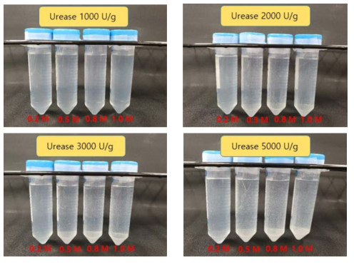 Pictures of precipitates after 1 day