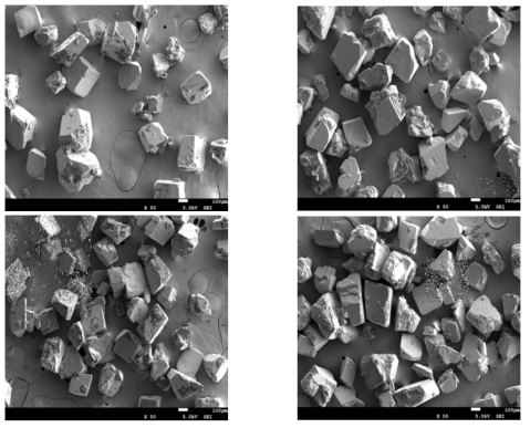 SEM images of precipitates after experiments