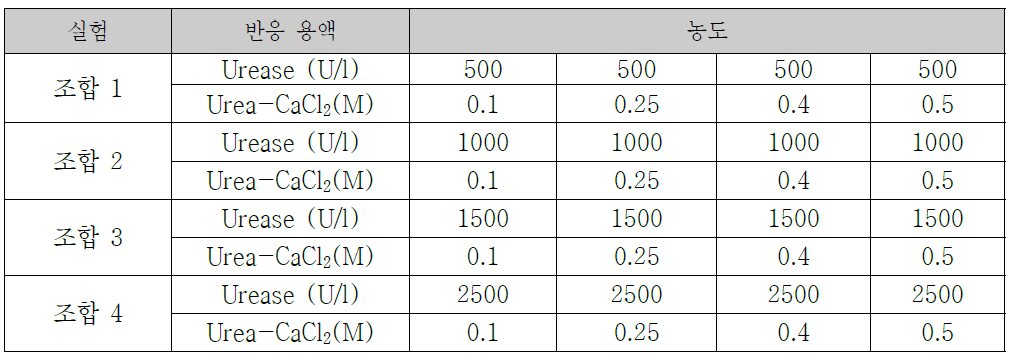 실험에 사용된 반응 용액의 농도 조합