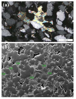 Calcite precipitated in the pores of the berea sandstone core from (a) polarized microscopy and (b) SEM-EDS analysis