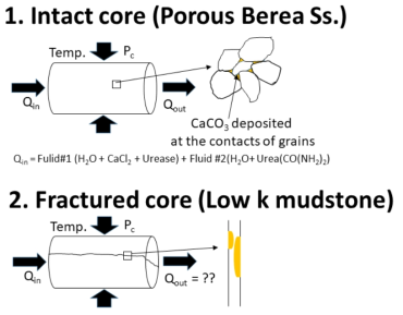 Schematic drawing of core flooding test for microbiologically-induced calcium carbonate precipitation in pores and crack