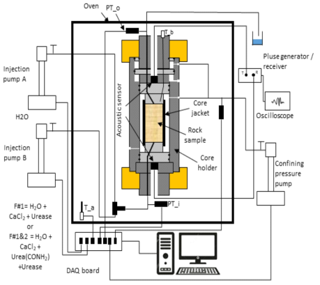 Schematic drawing of core flooding test system for the chemical reaction of rock + urea + urease + CaCl2 + H2O