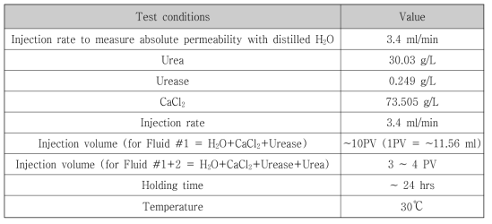 Experimental conditions of fluid injected into porous Berea sandstone