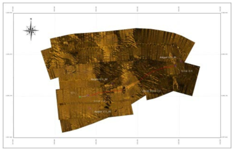 영일만 해저면 광케이블 포설 및 착저식 에어건 발파 케이블 포설도(사이드 스캔 소나 기술을 이용한 모자이크 영상도)