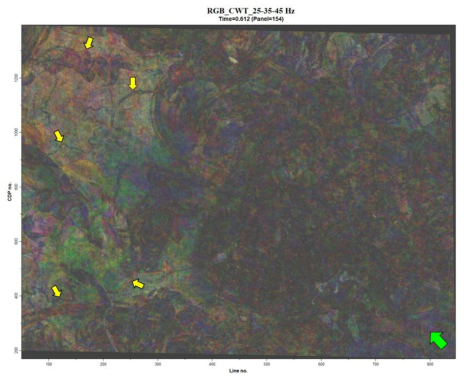 군산분지 탄성파 단위층3(SU3) 지역에 대한 3D 탄성파 RGB 중합볼륨(시간단면 t=612 ms). 녹색화살표 및 황색화살표는 각각 북쪽과 사행천 발달 구조 지시