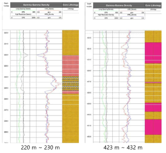 밀도 검층 및 Core Lithology를 비교한 그림. ATV와는 달리 220 ~ 230 m 구간에서 심도를 동기화한 후 423 ~ 432 m 구간을 확인한 결과 두 자료의 심도가 맞음