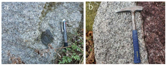 쥬라기 화강암 노두사진. (a) 원형의 섬록암 포유물. (b) 반상 화강암