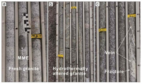 원주화강암 시추코어 암상 특징. (a) 변질 받지 않은 원주화강암과 MME. (b) 파쇄대가 발달한 화강암은 장석이 변질되어 녹색을 띰. (c) 파쇄대를 따라 주입된 암맥