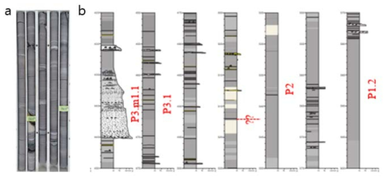 a) 시추공에서 확인되는 반원양성 이암과 저탁류에 의해 이동된 점이층리를 보이는 사암 및 이암. b) Stage P2와 Stage P3.1의 경계는 시추코어에서 뚜렷하지 않다