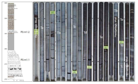 시추코어에서 확인되는 거대저탁류 퇴적층(Stage P3.m1.1, m1.2) 주상도와 시추코어 사진