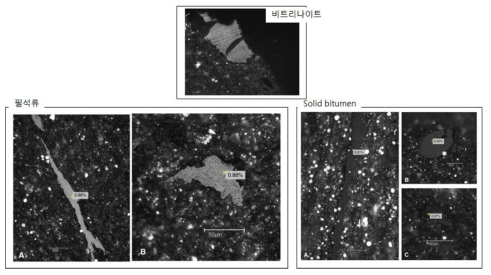 반사현미경에서 관찰되는 필석류와 고형의 비투멘(Petersen et al., 2013)