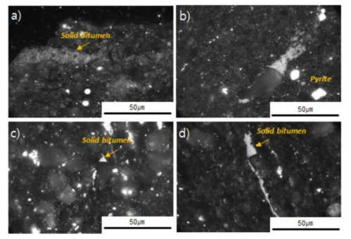 해양 기원 과성숙 셰일에서 관찰되는 Solid bitumen(홍성경 외, 2018)