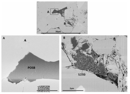 동일 시료에서 관찰되는 Solid bitumen의 표면 차이(Sanei et al., 2021)