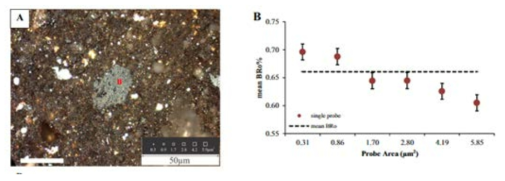 셰일의 미세공극에 분포하는 Solid bitumen (A)과 반사도 측정 영역 크기에 따른 반사도 변동(Sanei et al., 2015)