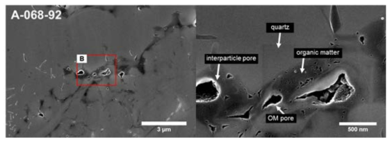 이온 밀링 수행 후 FE-SEM을 활용하여 관찰한 입자간 공극(interparticle pore), 입자내 공극(intraparticle pore), 유기 공극(organic matter pore)을 포함하는 셰일 시료 내 공극 이미지(박선영 등, 2020)