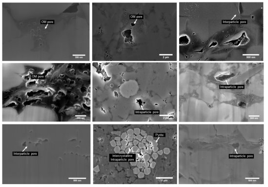 이온 밀링 수행 후 FE-SEM을 활용하여 관찰한 입자간 공극(interparticle pore), 입자내 공극(intraparticle pore), 유기 공극(organic matter pore)을 포함하는 셰일시료 내 공극 이미지(Park et al., 2021에서 일부 발췌)