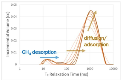 CO2-CH4 흡탈착 치환 반응에 따른 T2 NMR 신호 변화