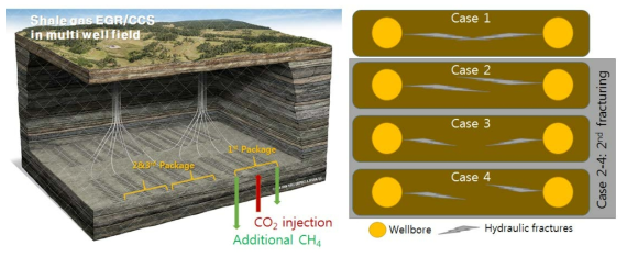 EGR+ 기술을 활용한 셰일가스전의 개발 모식도 및 다양한 인공균열 분포에 따른 재파쇄 필요성