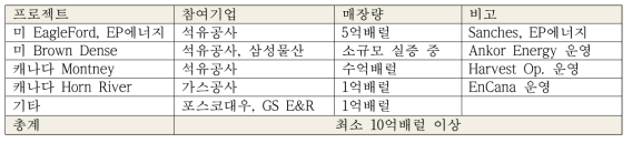 2021년 국내 기업들의 셰일가스 사업 상황