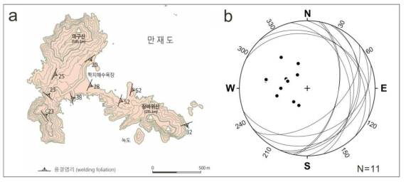 만재도응회암의 용결엽리 방향성 (a) 용결엽리의 방향성 분포. (b) 용결엽리의 방향성을 도시한 등면적입체투영망(용결엽리의 방향을 대원과 극점으로 함께 도시함)