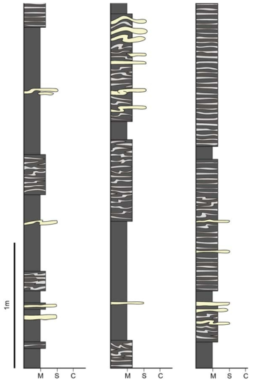 중화동포구 일대의 중화동층 주상도(그림 3-1)(M, 이암; S, 사암; C, 역암)