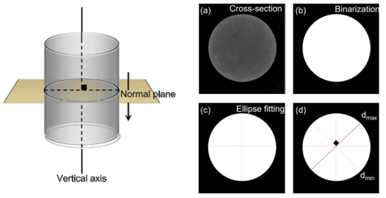 Schematic diagram of estimation of core deformation using X-ray CT images