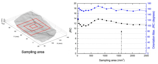 Average JRC and orientation of maximum JRC plotted with respect to a square sampling area for joint