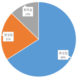 온천 굴착 위치에서의 암석 분포도