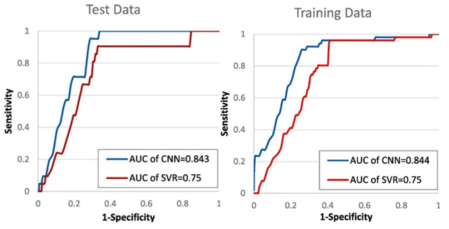 AUC of CNN and SVR using the training data and AUC of CNN and SVR using testing data