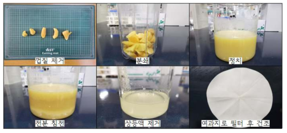생강 전분 추출 과정 (인천본부세관 제공)