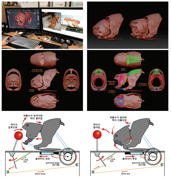 둔클레오스테우스 골격의 3D CG모델 제작과 전시물 가동구조의 설계